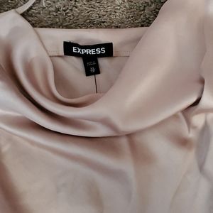 EXPRESS satin cowl neck maxi slip dress